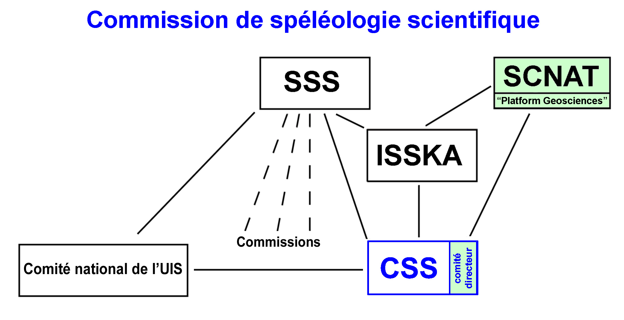 Organigramme